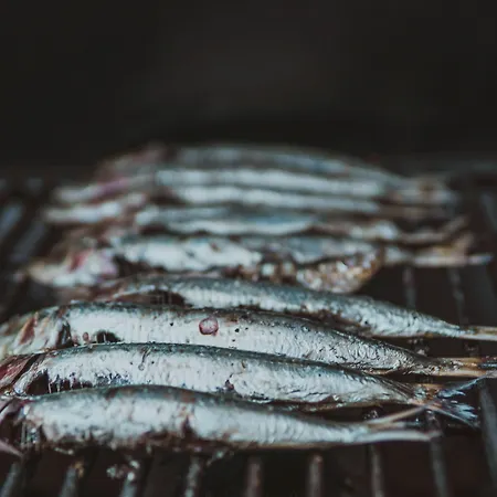 Bozica Dubrovnik Islands Sudurad