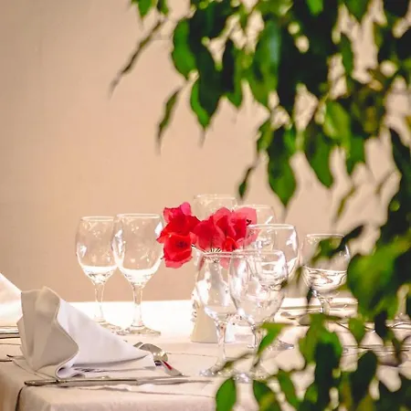 Bozica Dubrovnik Islands Hotel